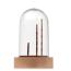 LED okrasek CX1558