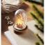 LED okrasek CX1558