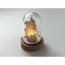 LED okrasek CX1558